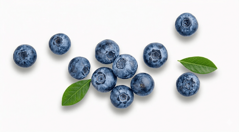 [Photo of wild blueberries]
